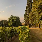 Chateau Carbonneau Отель типа 