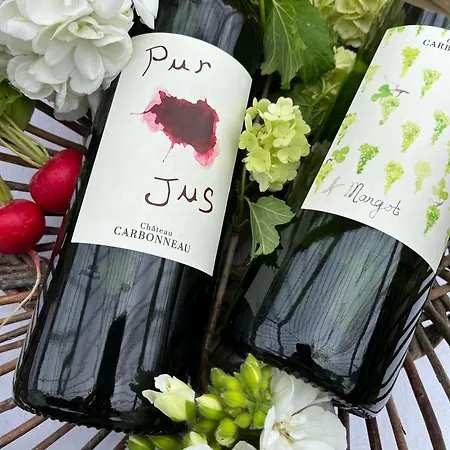 Chateau Carbonneau 4*