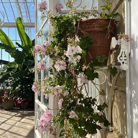 Couette-café Chateau Carbonneau 4*