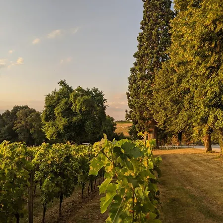 Chateau Carbonneau Couette-café 4*