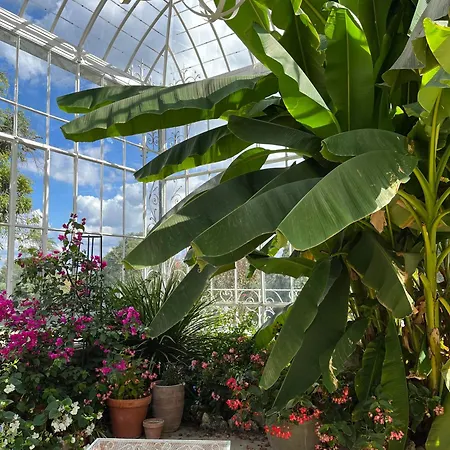 Chateau Carbonneau Couette-café 4*