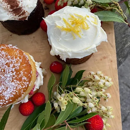 Chateau Carbonneau Couette-café Pessac-sur-Dordogne