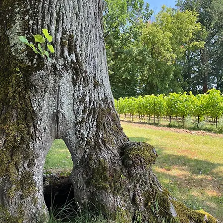 Chateau Carbonneau 4*