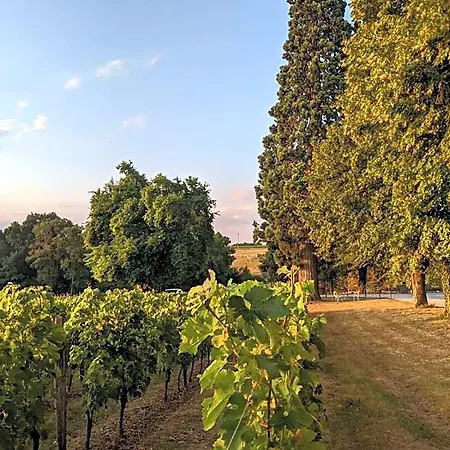Chateau Carbonneau 4*