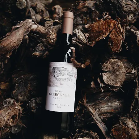 Couette-café Chateau Carbonneau 4*