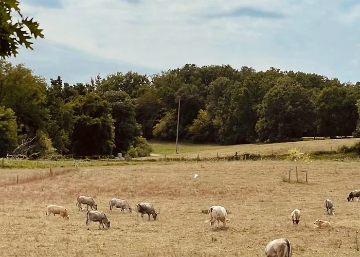 Frühstückspension Chateau Carbonneau