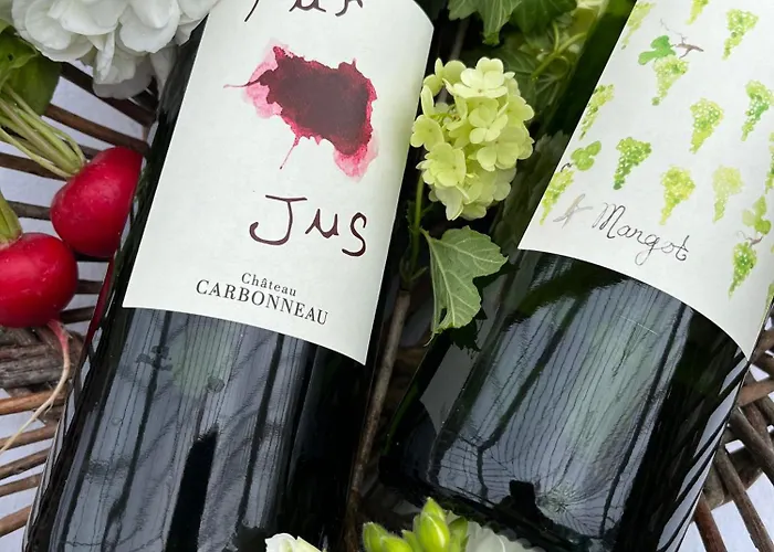 Chateau Carbonneau 4*