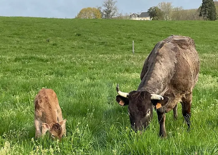 Chateau Carbonneau Frühstückspension 4*