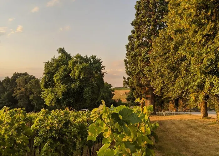 Chateau Carbonneau Frühstückspension 4*