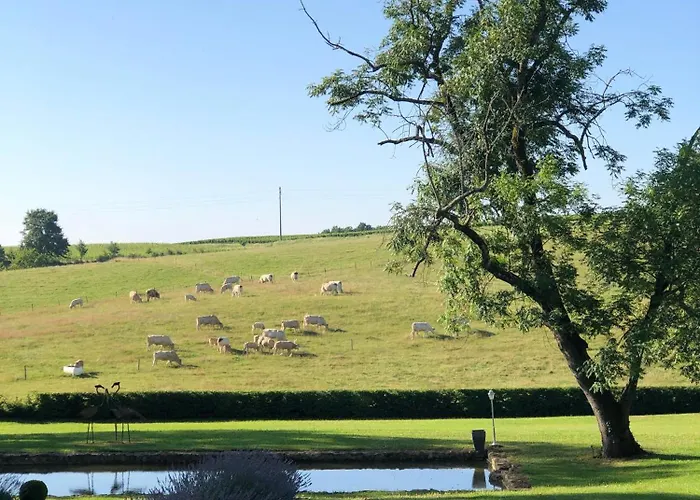 Chateau Carbonneau 4*