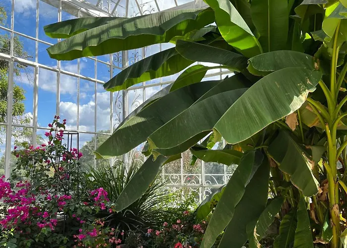 Chateau Carbonneau Frühstückspension 4*