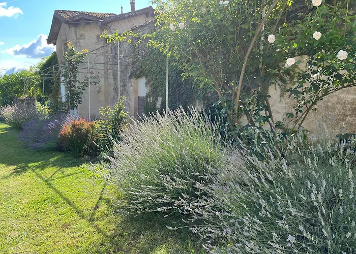 Chateau Carbonneau Frühstückspension