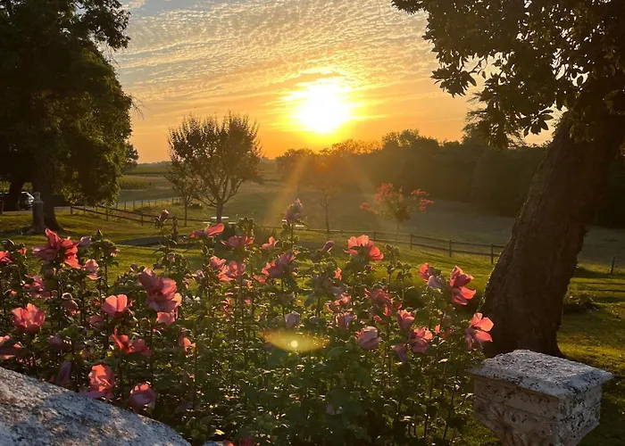 Frühstückspension Chateau Carbonneau 4*