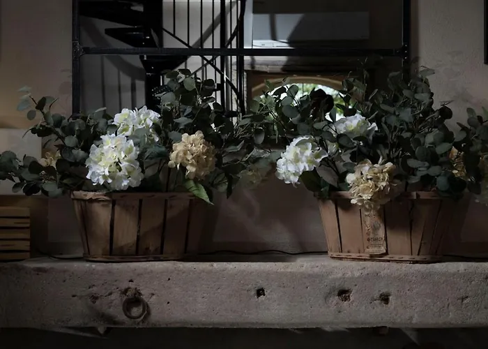 Frühstückspension Chateau Carbonneau 4*