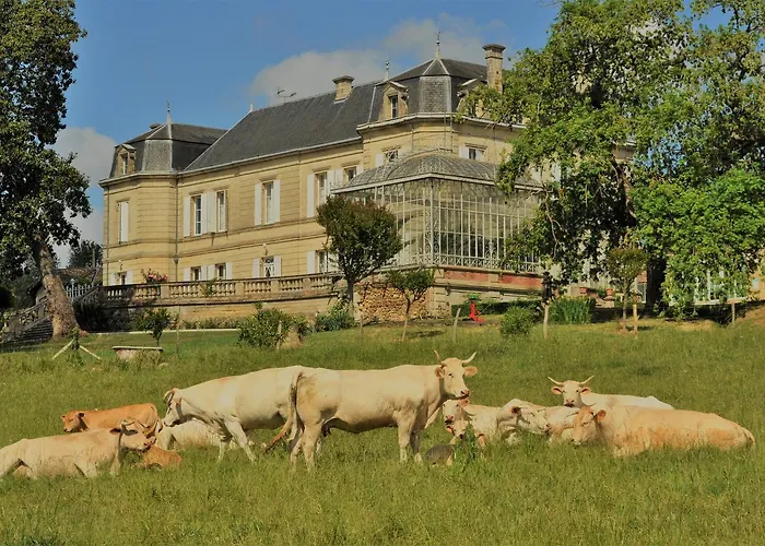 Frühstückspension Chateau Carbonneau Pessac-sur-Dordogne