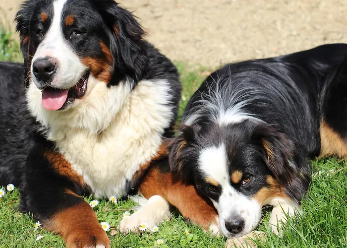 Chateau Carbonneau Frühstückspension Pessac-sur-Dordogne