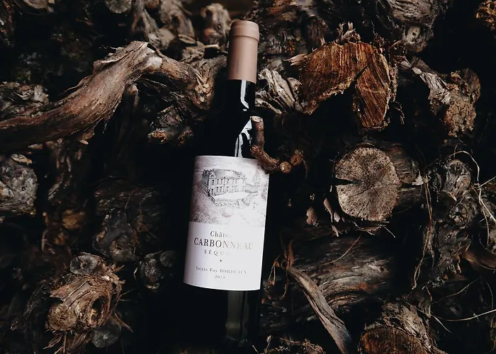 Frühstückspension Chateau Carbonneau 4*